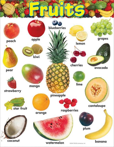 Learning Chart Fruits | T-38247 – SupplyMe