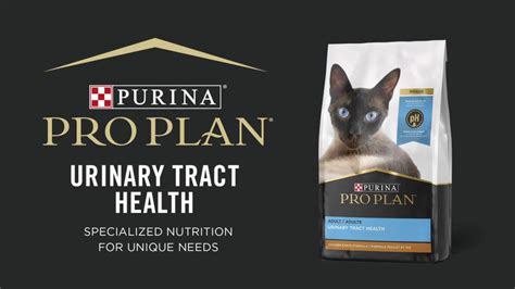 Purina Pro Plan Urinary Tract Health Chicken Rice Dry Cat Food, 3.5 lb ...