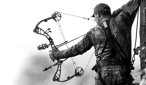 Free download elite archery wallpaper maxresdefault jpg [1280x756] for ...