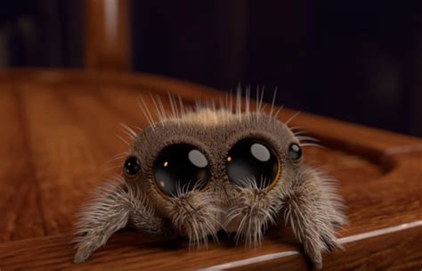 Watch: Adorable animation of a baby spider has people demanding it ...