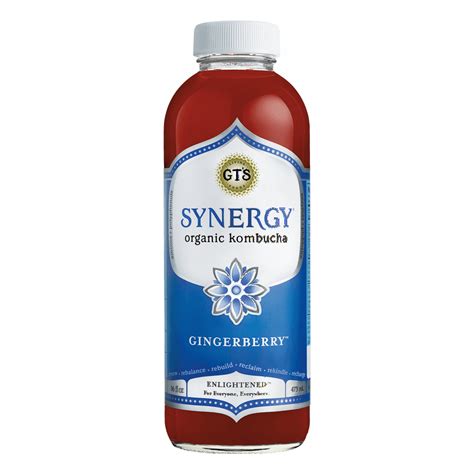 GTs Enlightened Synergy Organic and Raw Kombucha Gingerberry, 16 Ounce - Walmart.com - Walmart.com