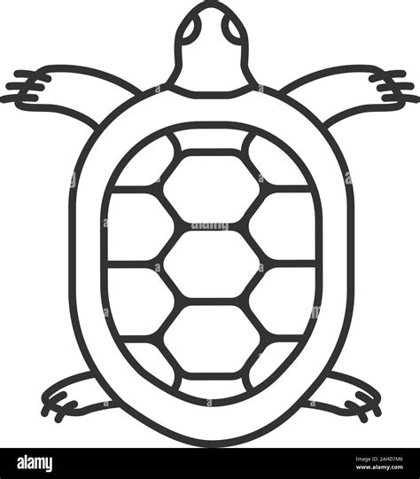 Tortoise linear icon. Thin line illustration. Turtle. Contour symbol. Vector isolated outline ...