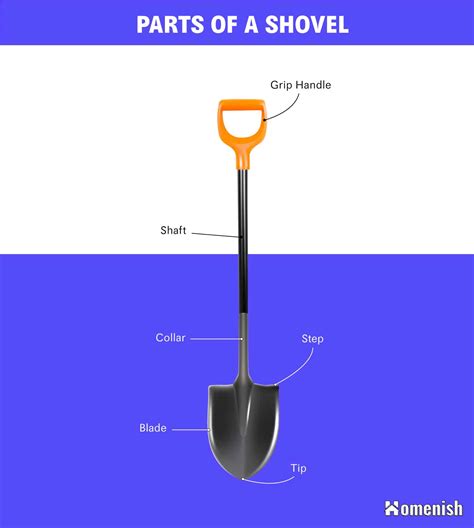 Different Parts of a Shovel with Illustrated Diagram - Homenish