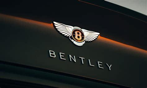 Bentley Logo Design – History, Meaning and Evolution | Turbologo