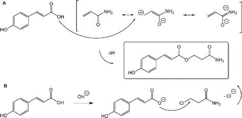 Reaction mechanism of p-coumaric acid with acrylamide (A) and ...