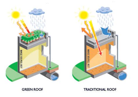 The benefits of green roofs - Blog | LIVE More by Minto