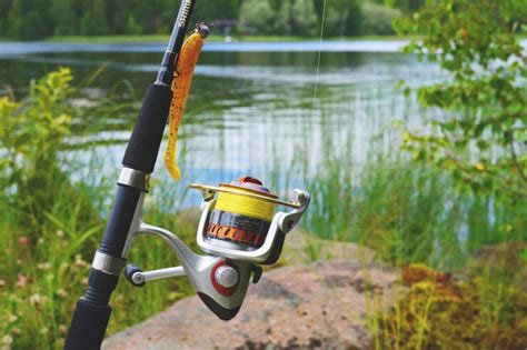 Freshwater Fishing Basics: 5 Things All Beginners Should Know - Boreal Forest