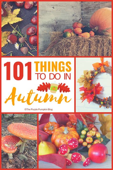 101 Things To Do In Autumn!