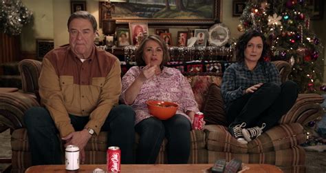 Roseanne Barr's Character Is Trump Supporter in Sitcom Revival