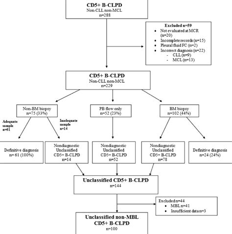 CD5‐positive chronic B‐cell lymphoproliferative disorders: Diagnosis ...