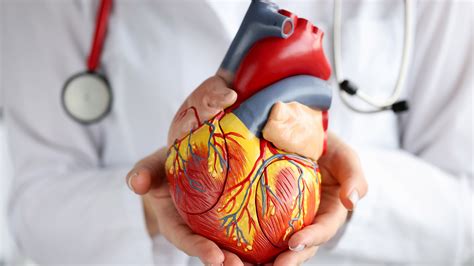 When to See a Cardiologist: 9 Reasons to Visit a Heart Specialist - GoodRx