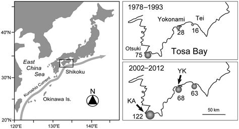 Map of the study site showing the location of Tosa Bay, western Japan.... | Download Scientific ...