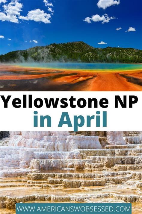 Thinking of Visiting Yellowstone National Park in April? Here are all ...