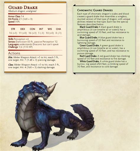 [OC] Trying to scale the Guard Drake from Volo for a Beastmaster Ranger ...