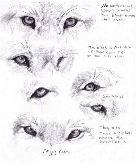 45 best Wolf Art & Tattoos. images on Pinterest | Tattoo art, Art ...