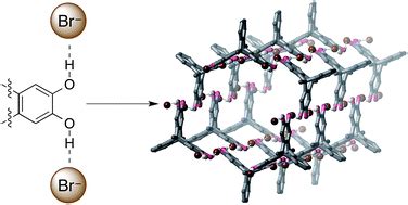 Anion-templated hexagonal nanotubes - Chemical Science (RSC Publishing)