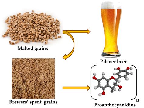 Antioxidants | Free Full-Text | Optimization of Sonotrode Ultrasonic-Assisted Extraction of ...