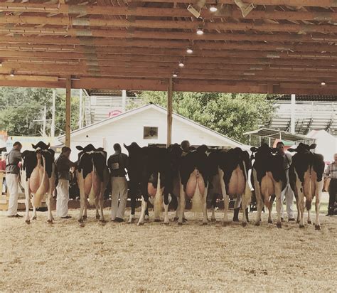 2017 Delaware County Fair - Watershed Agricultural Council