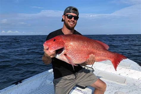 Dauphin Island Fishing: The Complete Guide (Updated 2023)