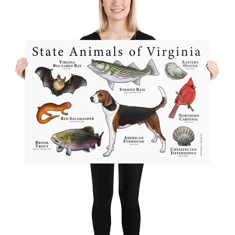 Virginia State Animals Poster Print | Etsy