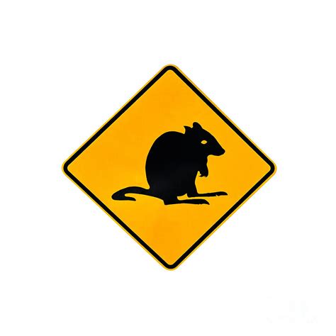 Rat Warning Sign Photograph by Benny Marty - Pixels