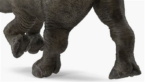 Free baby rhino running pose model - TurboSquid 1678153