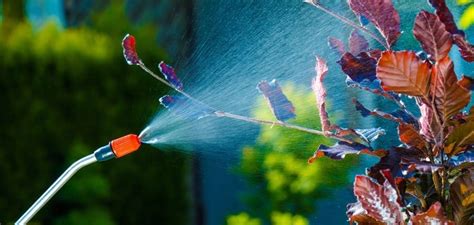 Protecting Your Backyard | Are Pest Control Products Safe | NJ Pest