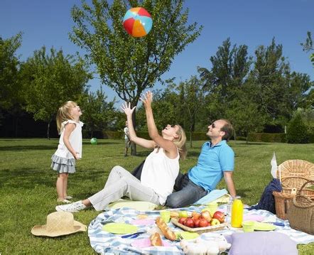 Munchkins: A picnic description