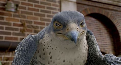 Unique Facts And Information: The fastest animal in the world -Peregrine falcon