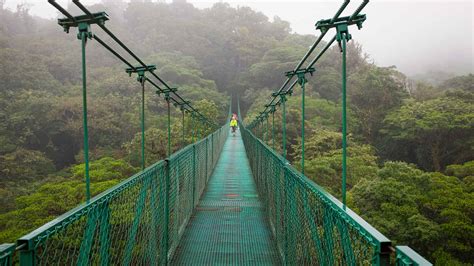 Monteverde 2021: Top 10 Tours & Activities (with Photos) - Things to Do ...