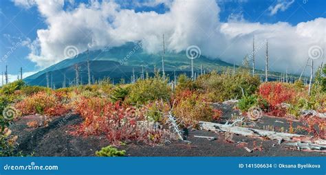 Volcano Tyatya on Island Kunashir, Kurily, Russia Stock Photo - Image of outdoor, east: 141506634