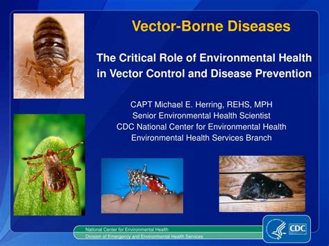 PPT - Vector-Borne Diseases PowerPoint Presentation, free download - ID ...