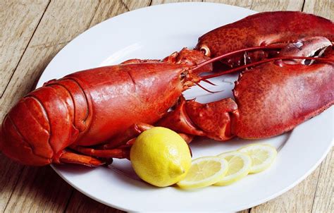 How To Reheat Lobster: The Best Ways To Enjoy It While Hot | Fruitful ...