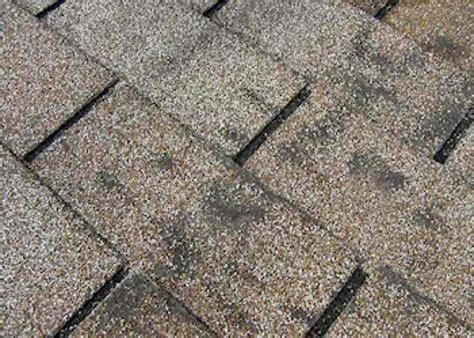 Follow These Tips Before Inspecting Your Roof Shingles for Damage