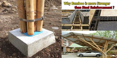 Why Bamboo Is More Stronger Than Steel Reinforcement? - Engineering Discoveries