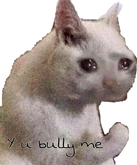 Y U Bully Me Cat Sad Cat Meme Freetoedit | My XXX Hot Girl