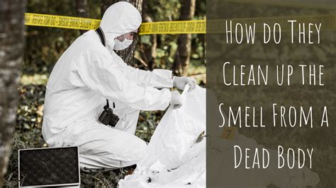 Cleaning Up the Smell From a Dead Body | Call a Professional