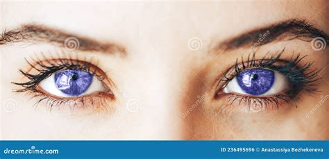 Beautiful Purple Eyes with Long Eyelashes Lenses Vision, Color of Year ...