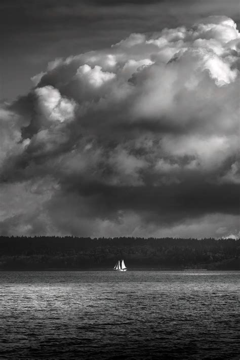 Life on the Salish Sea on Behance