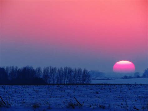 Winter Sunset in Pink and Blue Photograph by Lori Frisch - Pixels