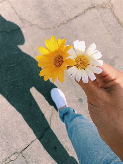 pinterest // @dimaelsherbini | Flower aesthetic, Flowers photography, Yellow aesthetic