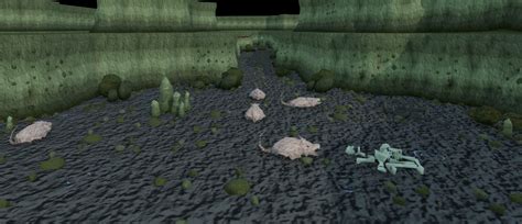 Brine Rat Cavern | RuneScape Wiki | Fandom