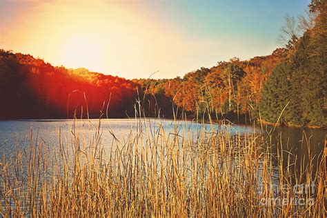 Sunset at the Lake Photograph by Stacey Ritz - Fine Art America