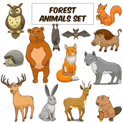 Cartoon forest animals set vector — Stock Vector © AlexanderPokusay ...