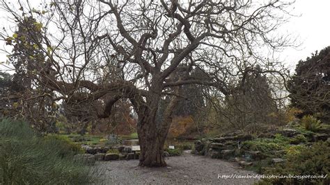 Cambridge Historian: Cambridge University Botanic Garden - 18/11/2014 (Set 2)