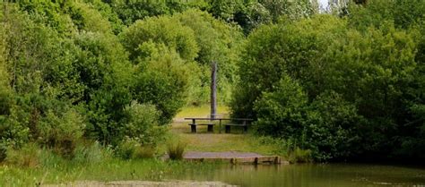 Meeth Quarry - The Tarka Trail