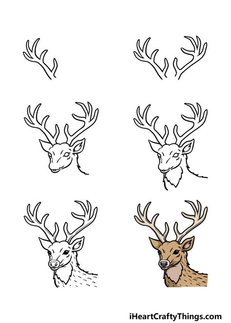 Deer Head Drawing - How To Draw A Deer Head Step By Step