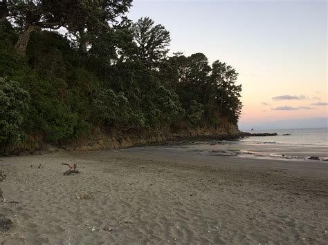 Martins Bay, New Zealand | New zealand, Outdoor, Beautiful homes