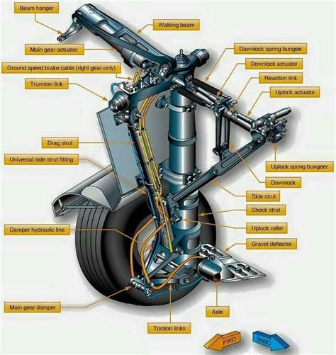 Explore the Fascinating World of Aeronautics