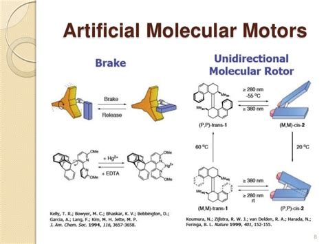 Molecular machines: Delving into the world of Supramolecualr Chemistry